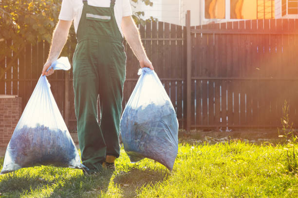 Yard Cleanup Services in Matheny, CA